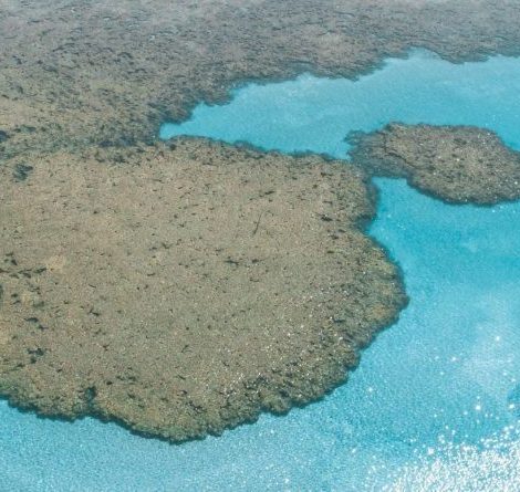 foto aérea das piscinas naturais de são miguel dos milagres