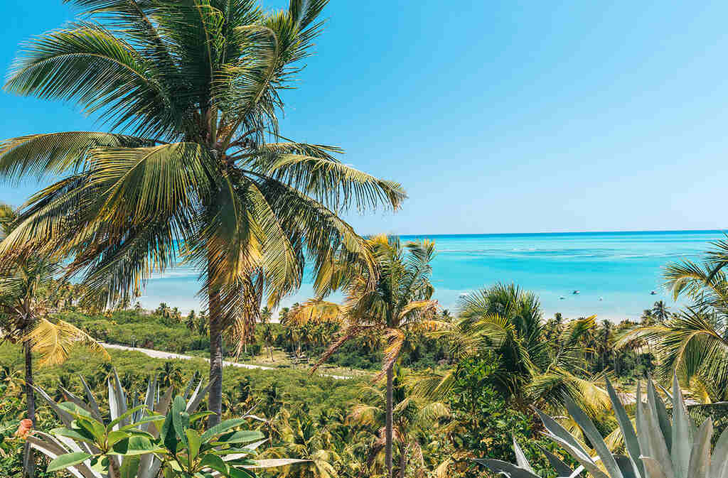 Rota Ecológica dos Milagres, um dos principais pontos turísticos de Alagoas