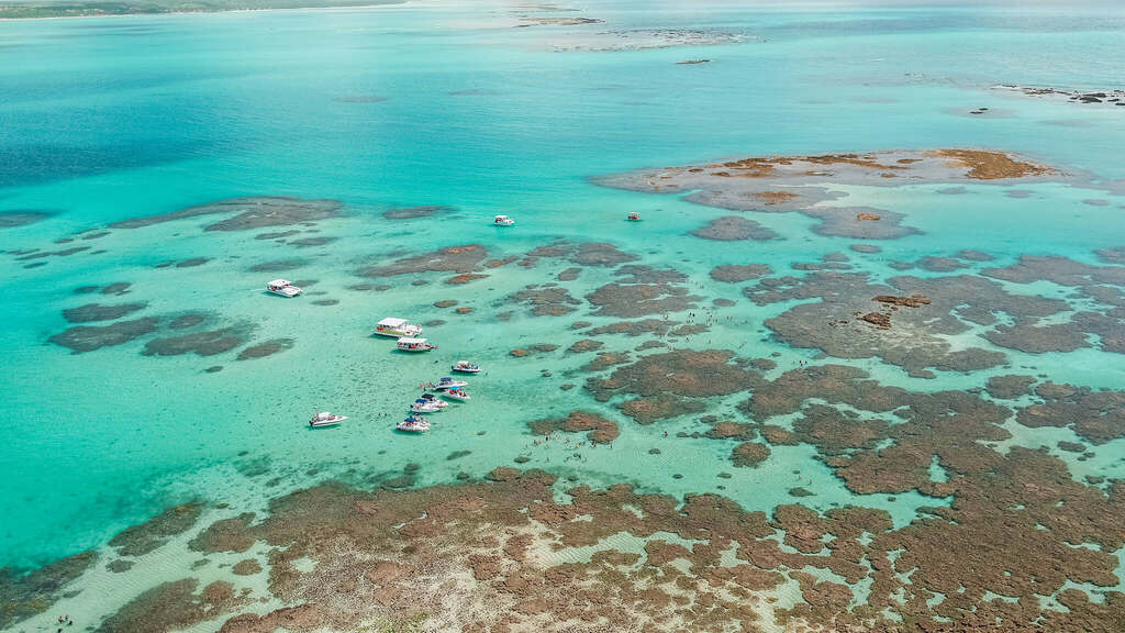 piscina natural, um dos principais pontos turísticos de Alagoas