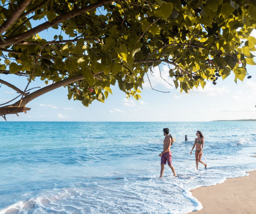 Um casal de homem e mulher está andando na beira-mar de uma praia paradisíaca. O mar possui cor azul, assim como o céu que está com nuvens. A areia da praia é branca e é possível ver o galho de uma árvore.
