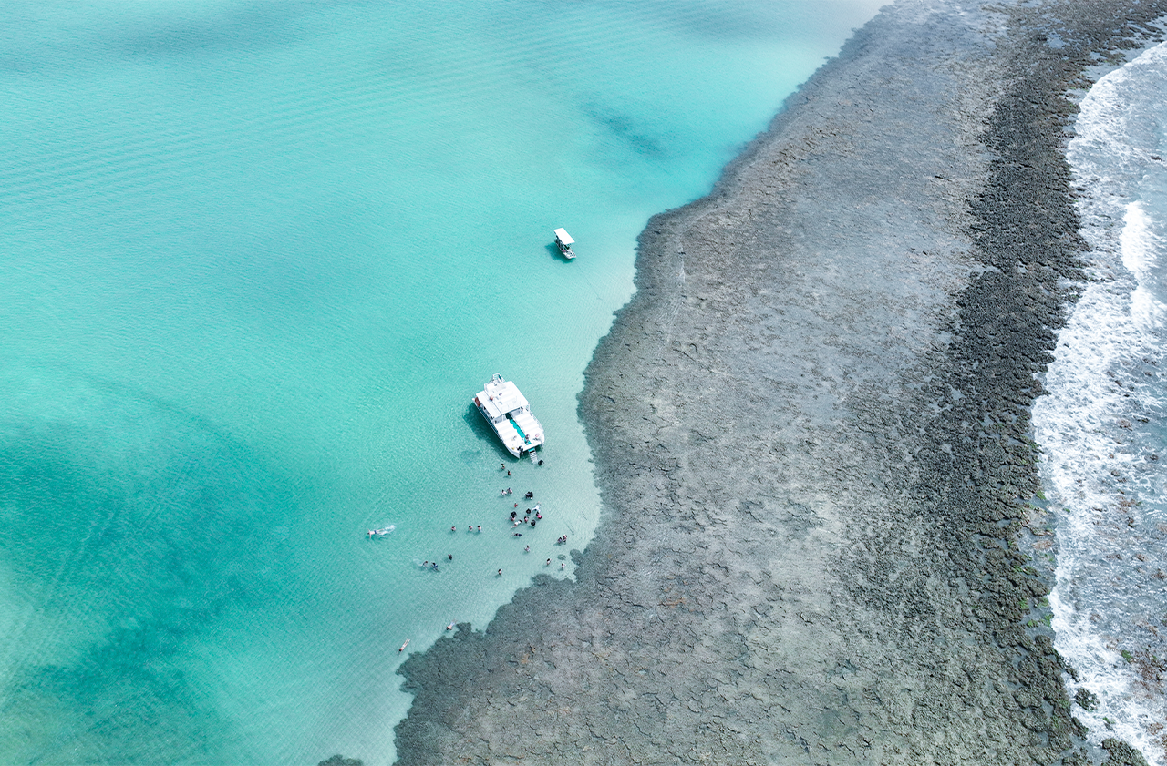 Vista aérea de cima, com um catamarã e um grupo de pessoas em águas rasas e cristalinas. Ao lado, um extenso recife de coral está exposto, com a areia e a água formando um forte contraste.