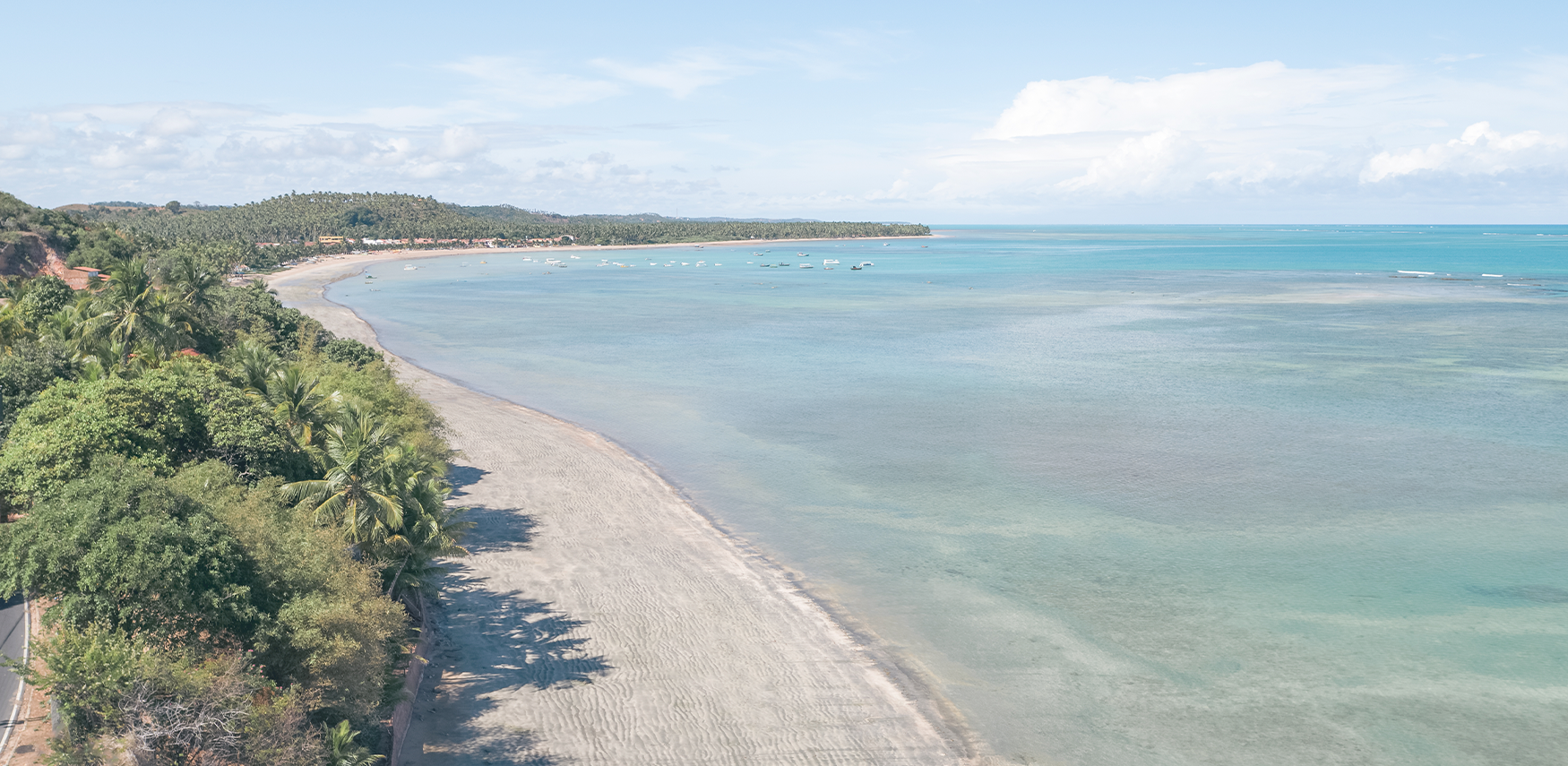 Vista aérea da praia de Japaratinga com areia clara e larga, e uma curva suave. A beira da praia é repleta de vegetação e coqueiros. O oceano é calmo, com tons de azul e verde, e pequenos barcos estão ancorados próximos à costa.