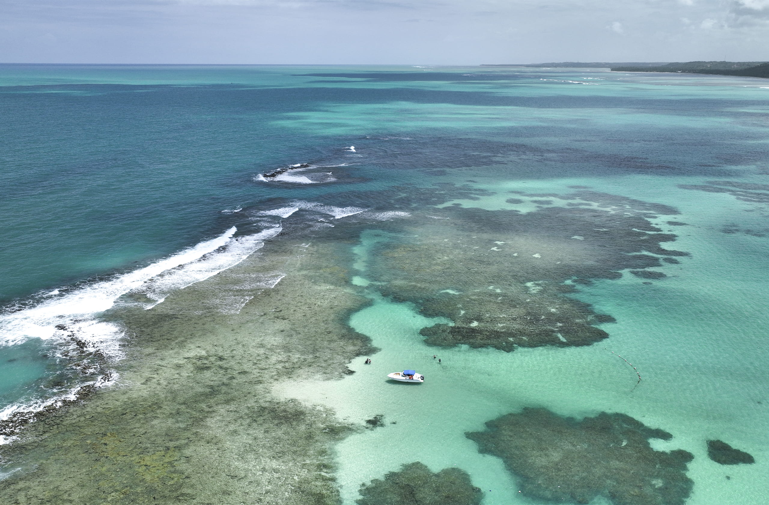 Vista aérea da piscina natural de Japaratinga com um pequeno barco em águas rasas e cristalinas. Ao lado, um extenso recife de coral está exposto, com várias pessoas nadando e caminhando nas piscinas naturais formadas. O céu é azul sem nuvens.