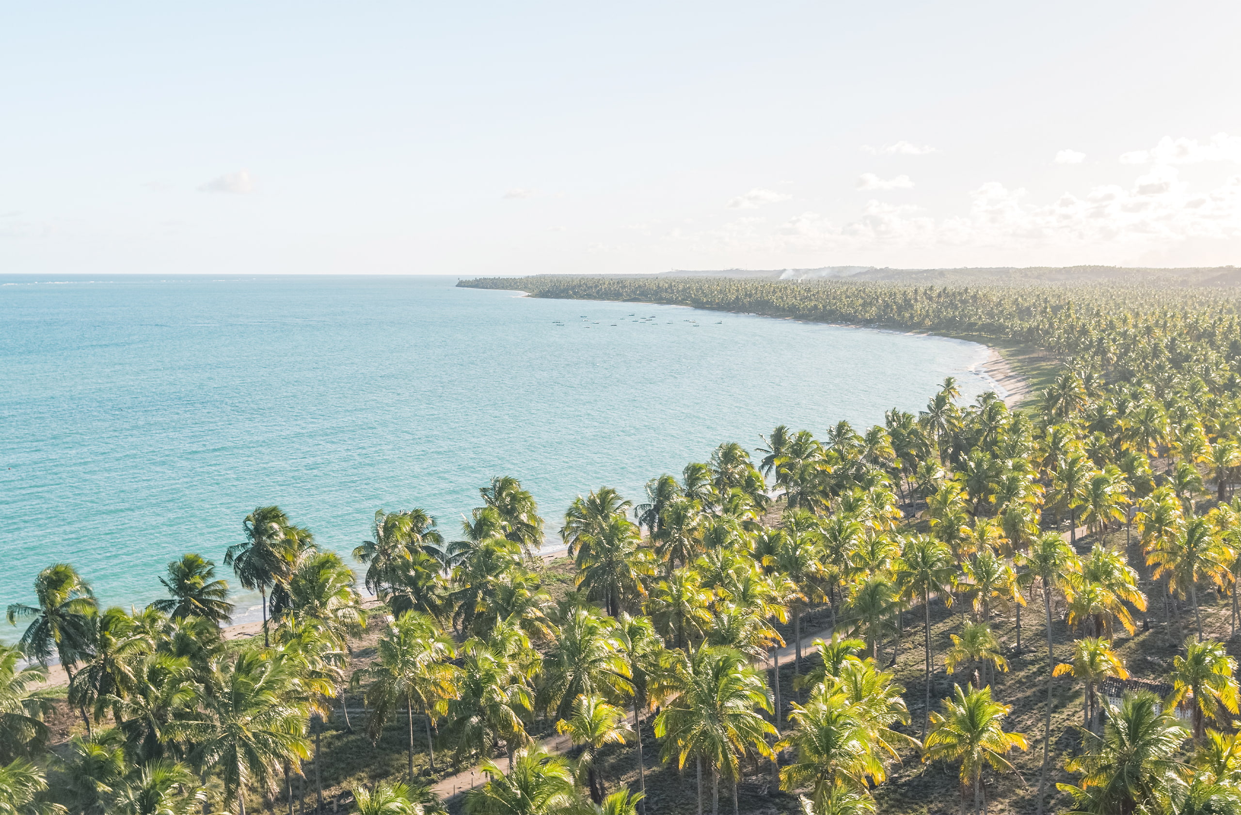 Vista aérea panorâmica de uma praia tropical. O oceano de águas cristalinas em tons de azul e verde. A costa, à direita, é ladeada por coqueiros enormes.