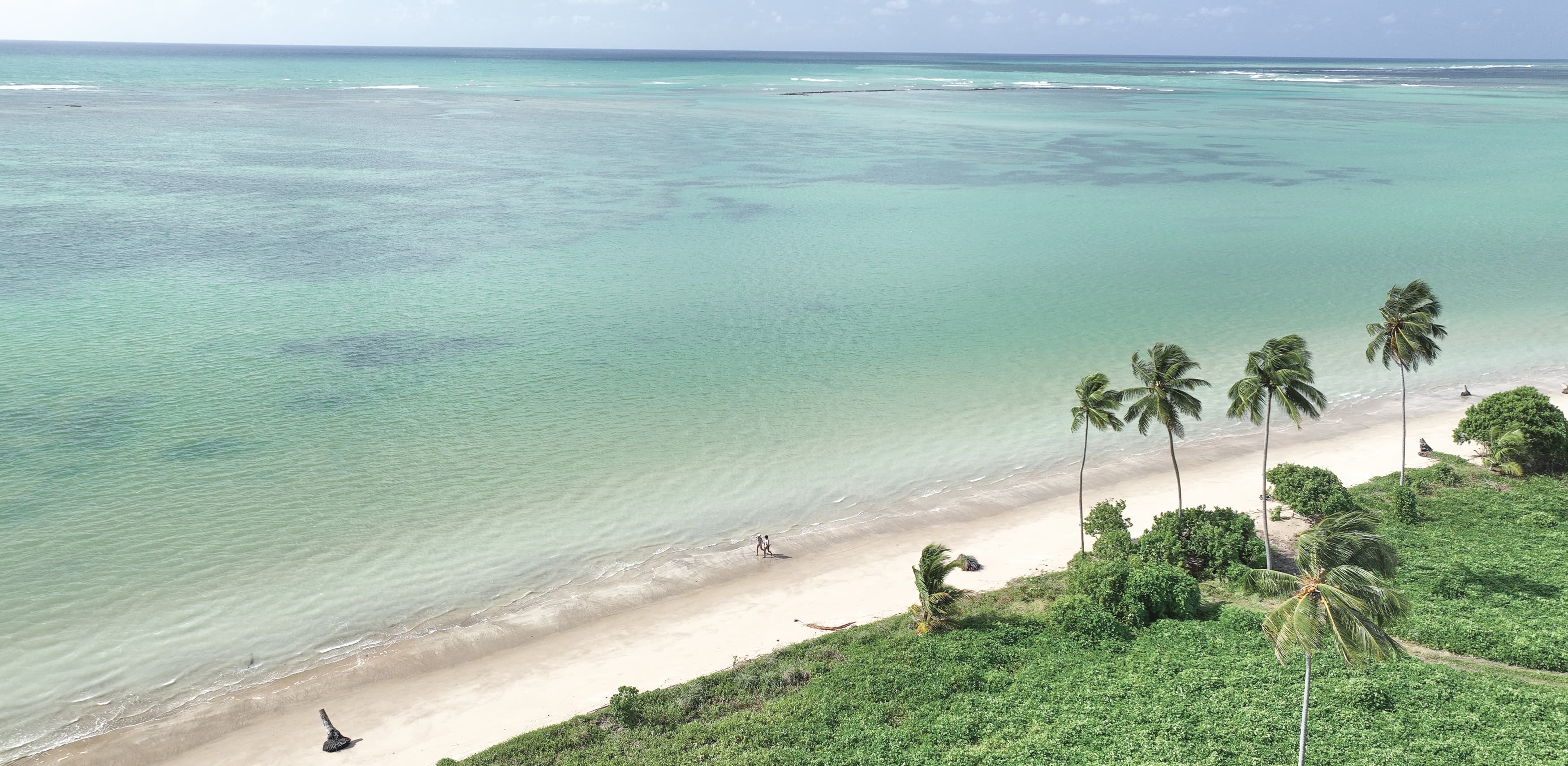 Vista aérea da Praia Patacho, com águas claras e calmas. Com um casal caminhando na costa de areia branca e muitas palmeiras.