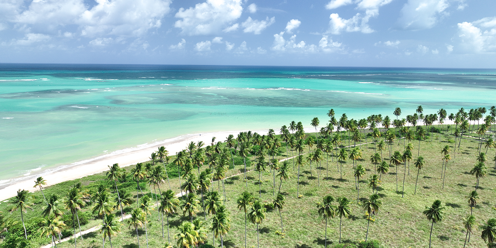 Vista aérea panorâmica de coqueirais em São Miguel dos Milagres. O coqueiral se estende até uma faixa de areia branca que encontra um mar com águas em múltiplos tons de azul e verde. O céu é azul com nuvens.