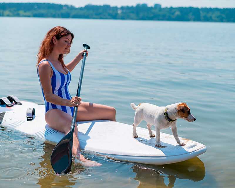 Imagem mostra mulher e cachorro em stand-up paddle.