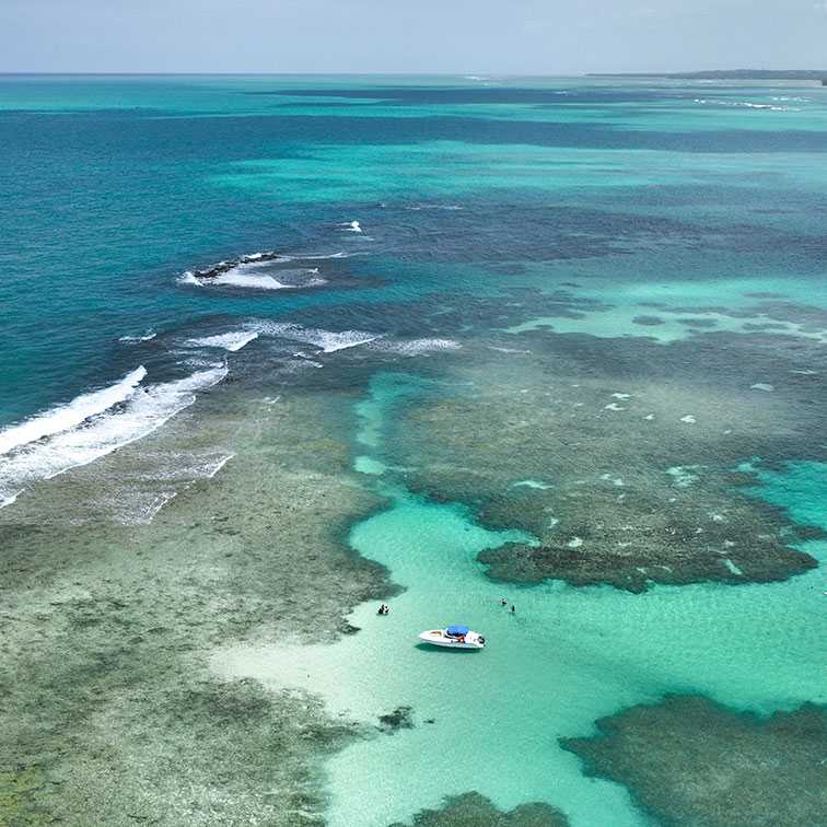 Vista aérea de uma vasta área de recifes de coral expostos pela maré baixa, formando piscinas naturais. A água é de um azul-turquesa cristalino, com algumas pessoas nadando no mar, uma pequena embarcação branca, o céu esta sem nuvens.