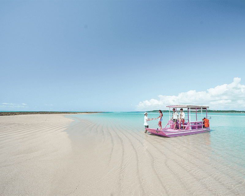 Vista da Croa de São Bento, com a maré baixa revelando um banco de areia e áreas de recifes de corais expostos. Uma jangada ancorada, com quatro amigos descendo pra água rasa e transparente, com o mar azul-claro se estende até o horizonte.