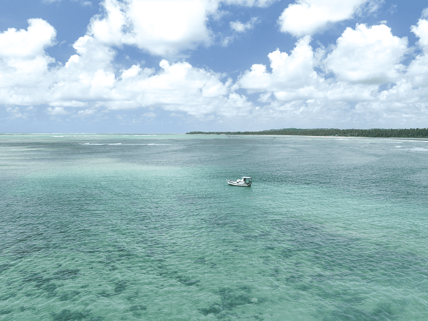 Vista aérea de praia de Patacho em Alagoas com mar cristalino em tons de verde e azul, barco ancorado em águas calmas, faixa de areia clara com coqueiros ao fundo e céu azul com nuvens.